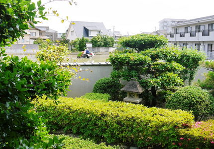 田植えしてます！