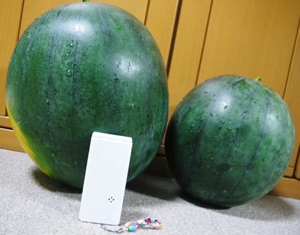 大玉2個