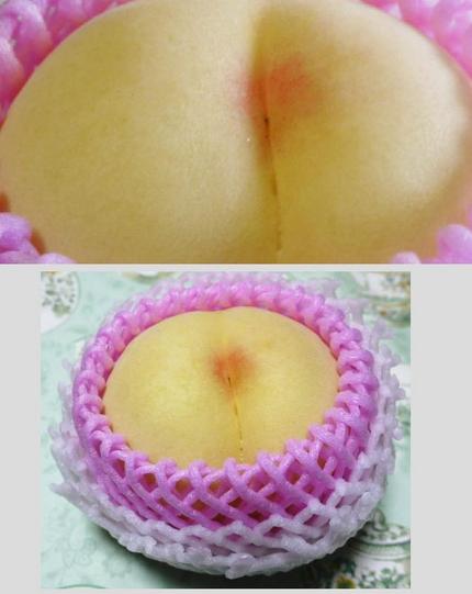 可愛いお尻