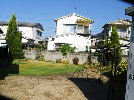 大きくなりすぎたゴールドクレス...