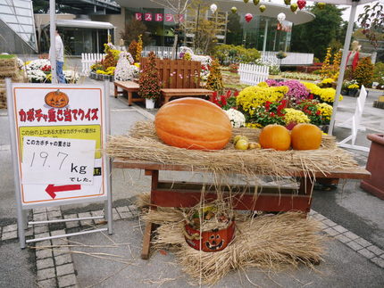 ピンポ〜ンが　壊れていて