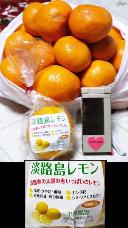 淡路島レモン　平岡農園のジャン...