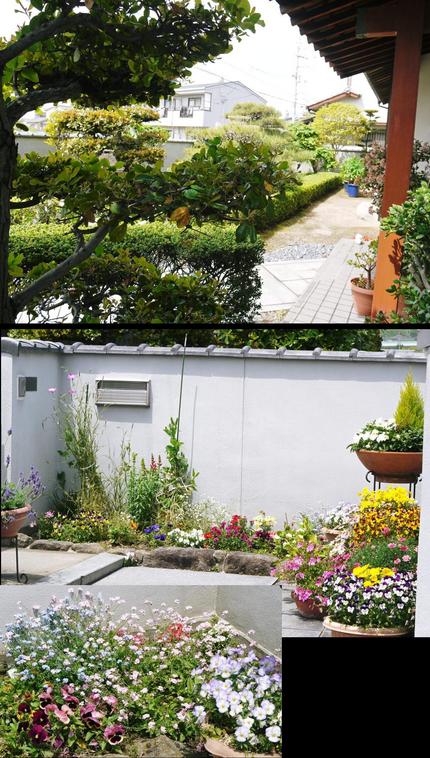 今日も　草抜きです！（●＾o＾...