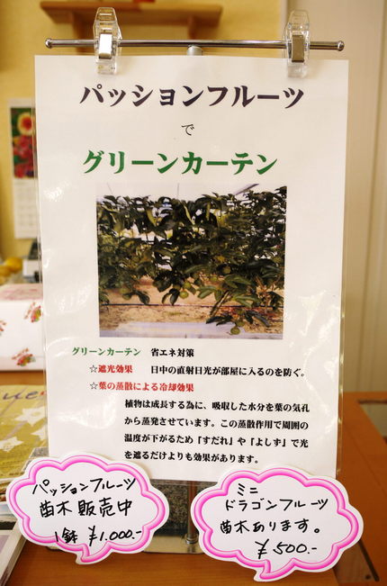 パッションフルーツの緑のカーテ...