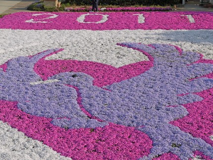 芝桜・季節の花や緑に囲まれた、...