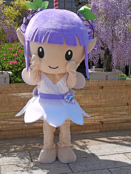 ふじっこちゃん　地福寺　藤まつ...