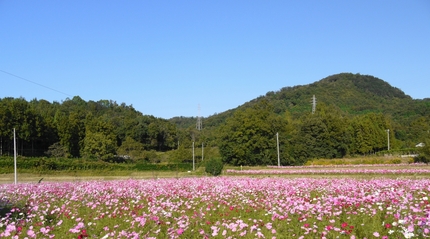 ８月２１日から　末梢神経の麻痺...