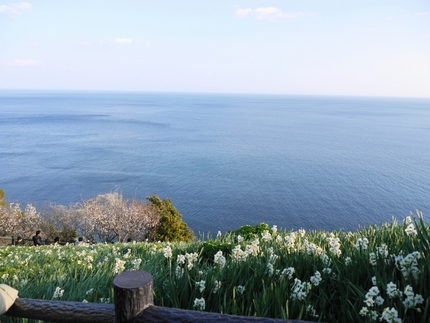 瀬戸内海国立公園 淡路島 灘黒...