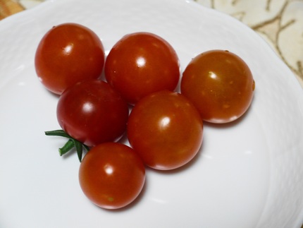 サントリー　本気野菜　ミニトマ...