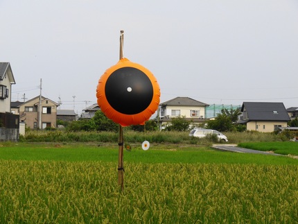 防鳥風船　目玉風船