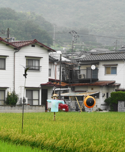 雨に濡れた案山子