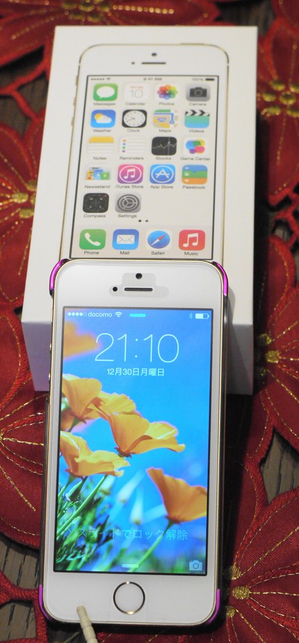 iPhone 5s 64GB docomo