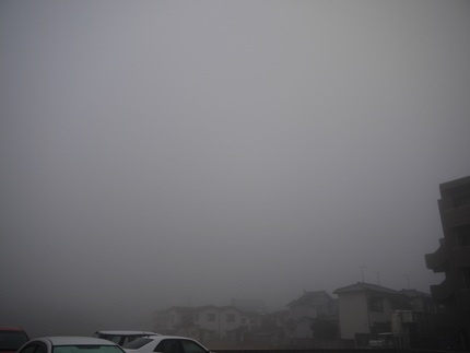 霧で見えませんでした。（●＾o...