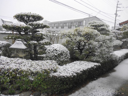 今日の朝の高松　大雪でした。