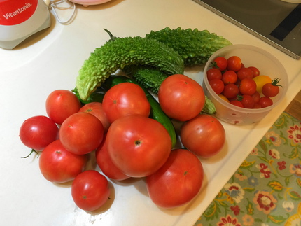 野菜生活　（●＾o＾●）