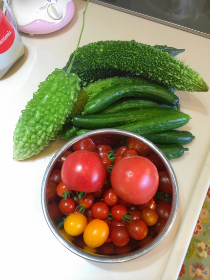 野菜生活　（●＾o＾●）