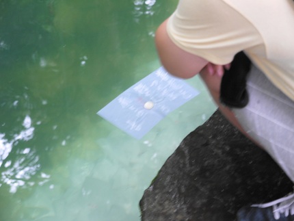 硬貨を乗せた紙を池に浮かべ、 ...