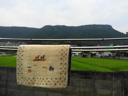 久しぶりの雨なんで本当は喜ぶべ...