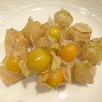 doteさんブログで見た 食用...