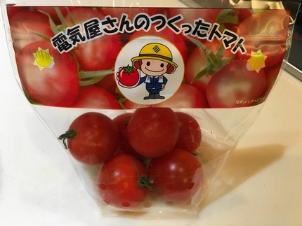 電気屋さんのつくったトマト