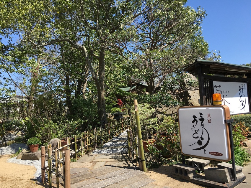 日曜日のランチです。 まだ　ブ...