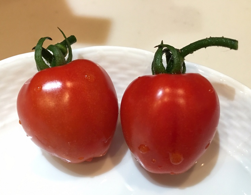 トマトベリー 3cm程の可愛ら...