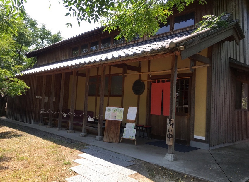 今日のランチです。