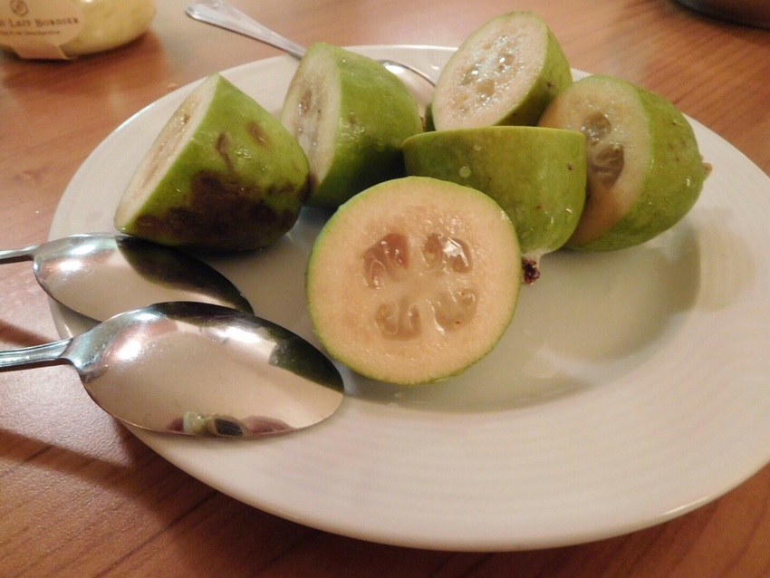 パリで　初めて食べました。 お...