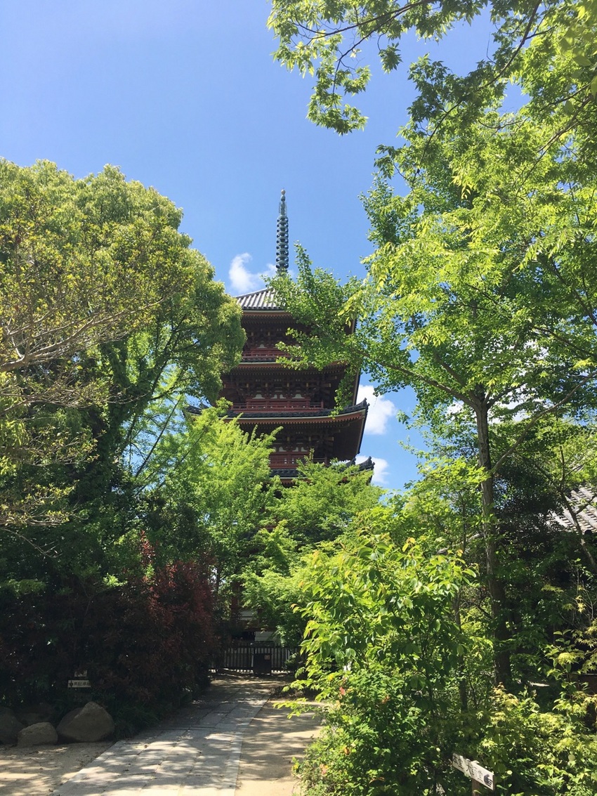 に来ています。