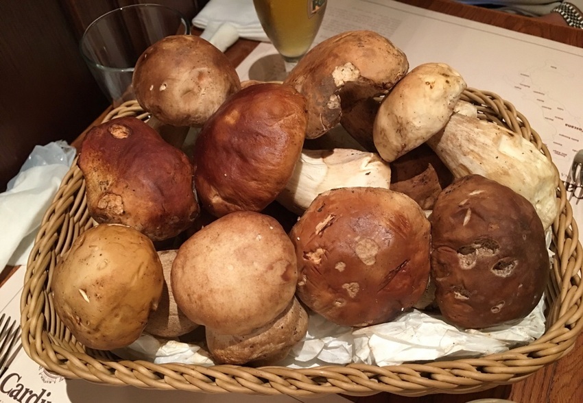 イタリアから届いた ポルチーニ...