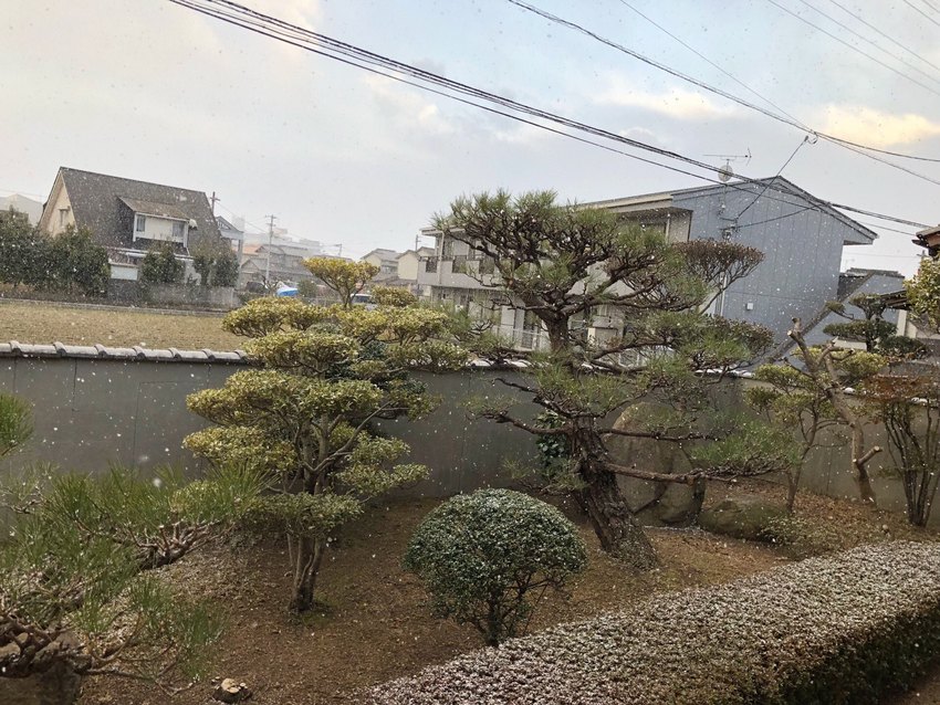 午後４時５０分ごろ降りました。...