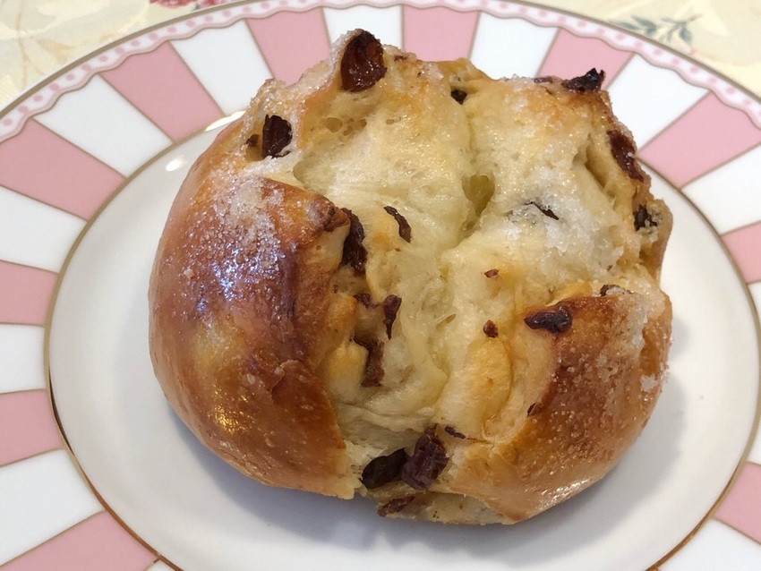 白石血管外科クリニック