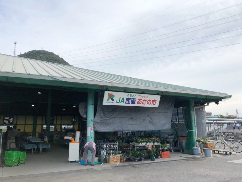 ココではぶどうだけ買って次はた...