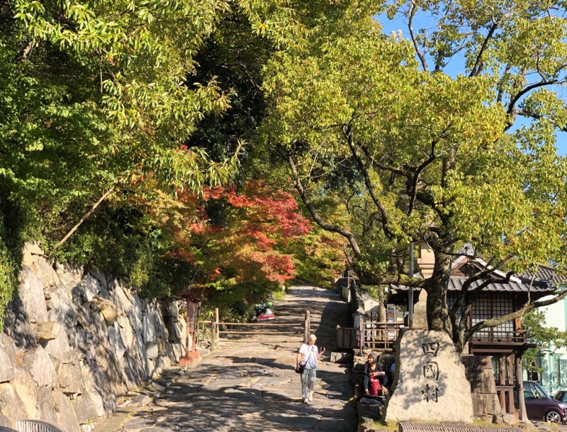 10日に行きました！ ｡.:♪...