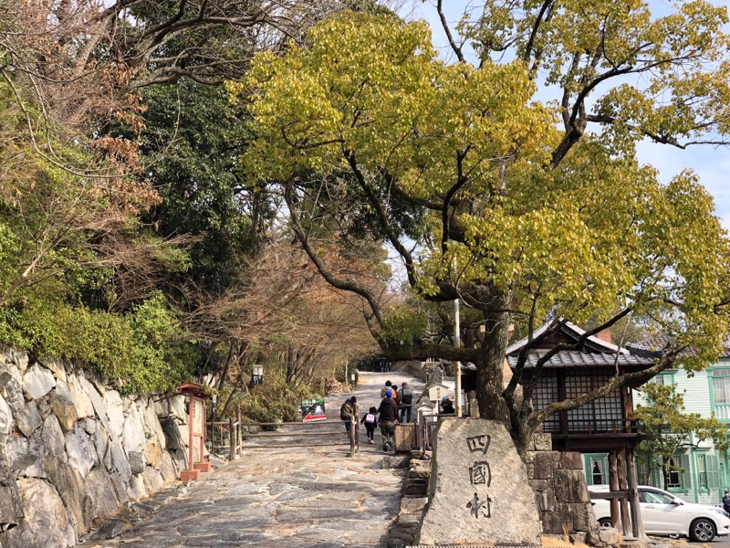 今週も土曜日＆日曜日と 二日続...