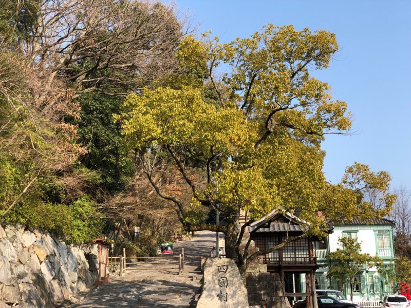 いつもの掃除して 洗濯して ト...