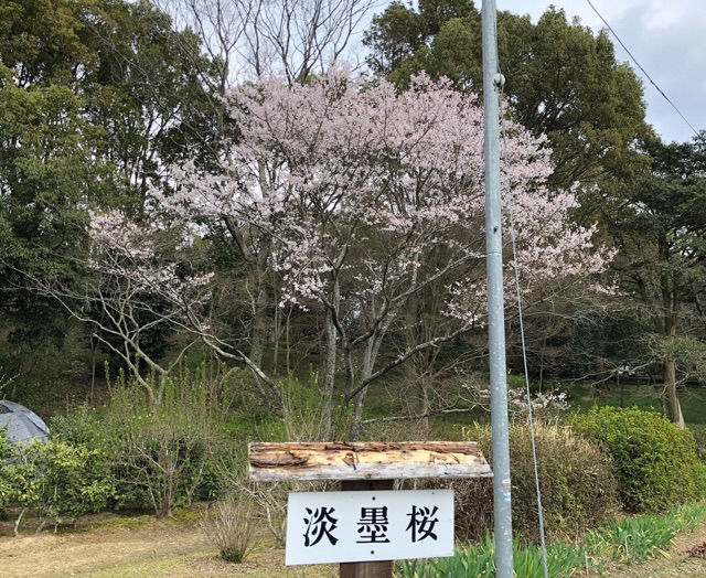 24日に行きました。 ｡.:♪...