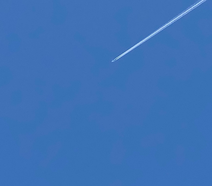 今日も高松 お洗濯日和 (.....