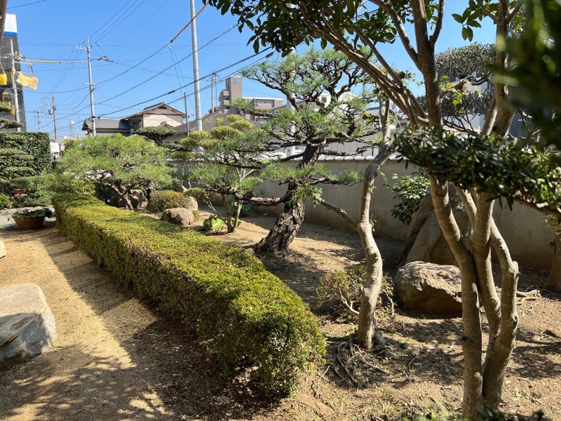 してもらいました！ ｡.:♪*...