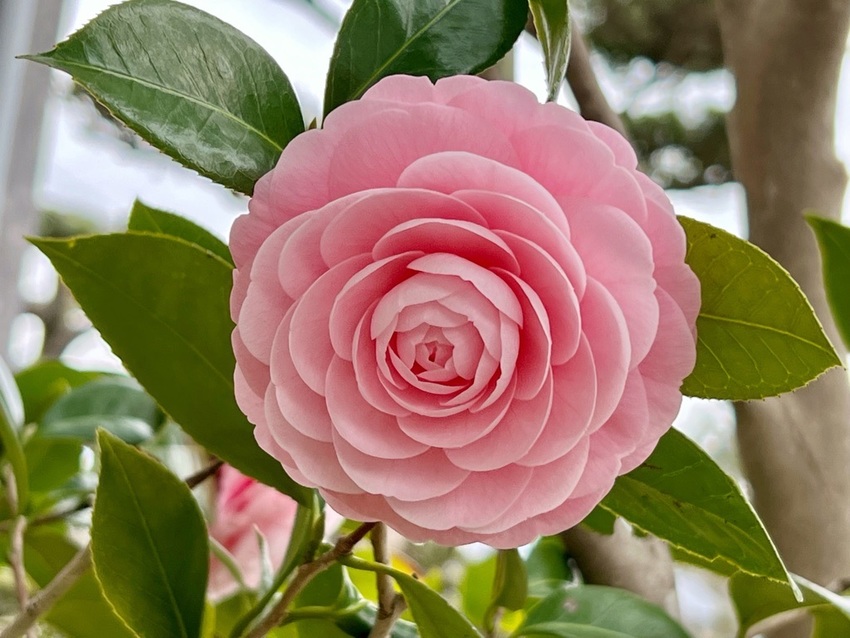 今日も高松 冷え冷え！ (((...