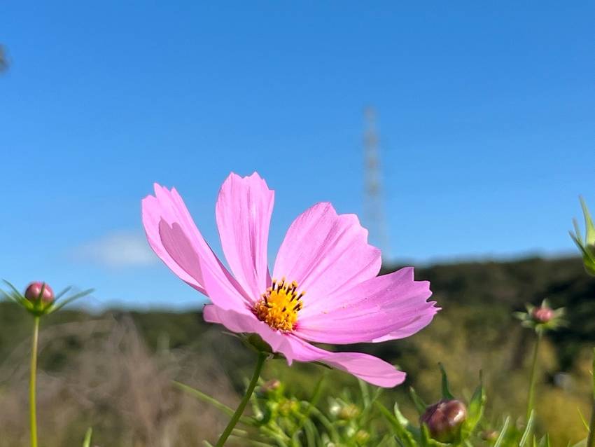 １６日に行きました！ ｡.:♪...