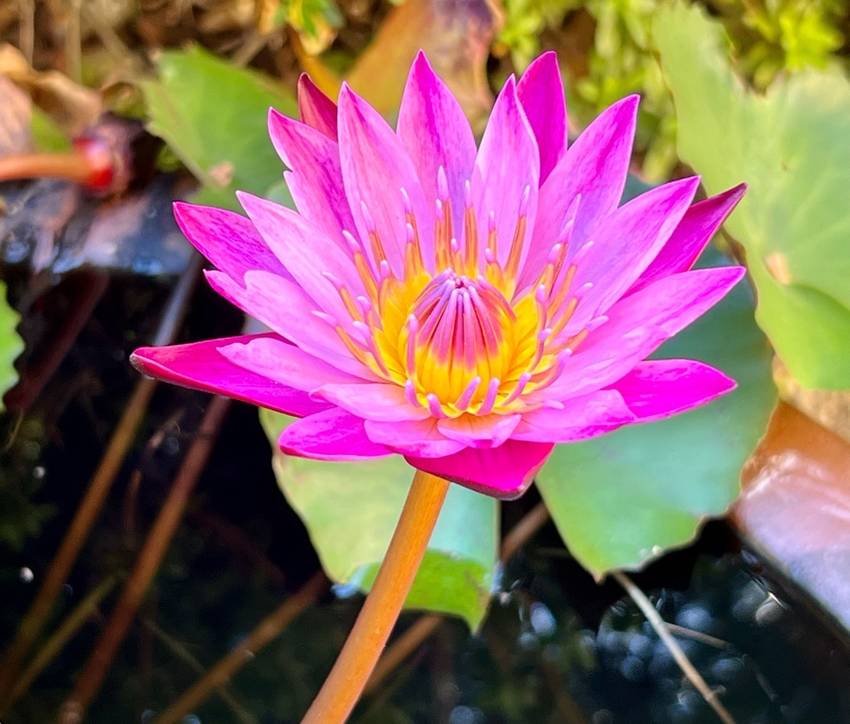 二日目のお花です！ 今日の高松...