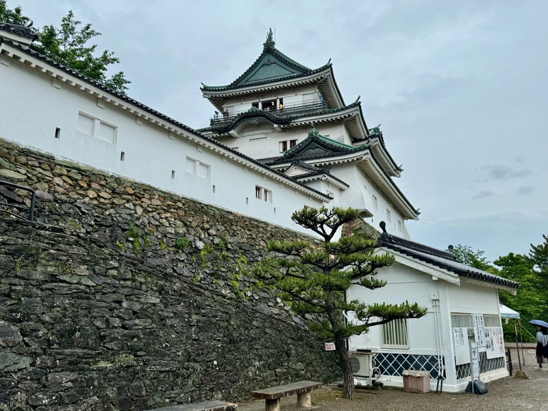 和歌山城天守閣です♪(๑ᴖ◡ᴖ...