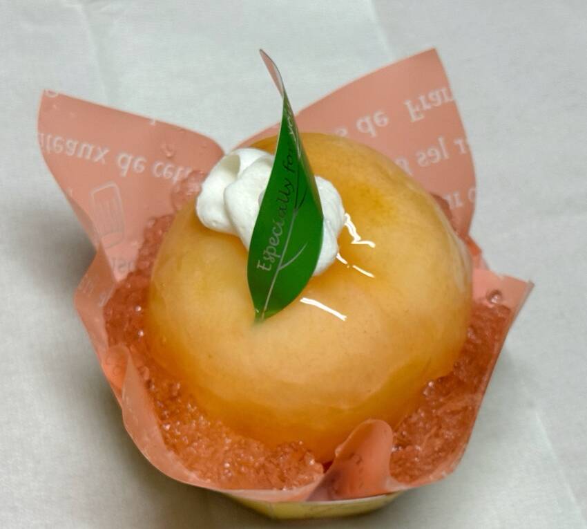 今日は 朝　フラダンスに行って...