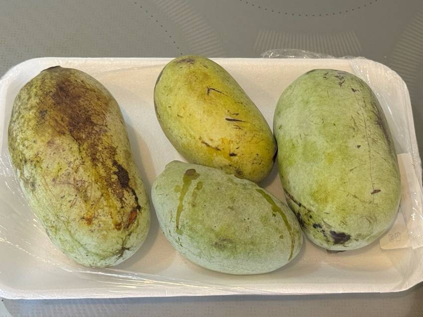 良心市たかせ【高瀬町上麻】で買...