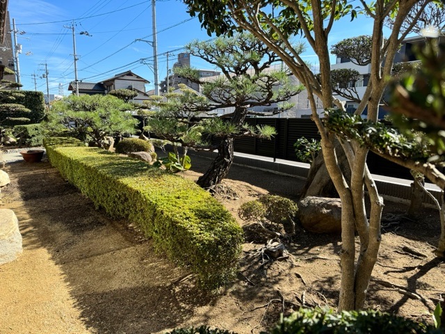 綺麗になりました！ ｡.:♪*...
