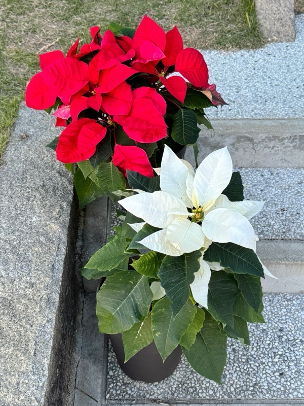寒くなりましたね！...