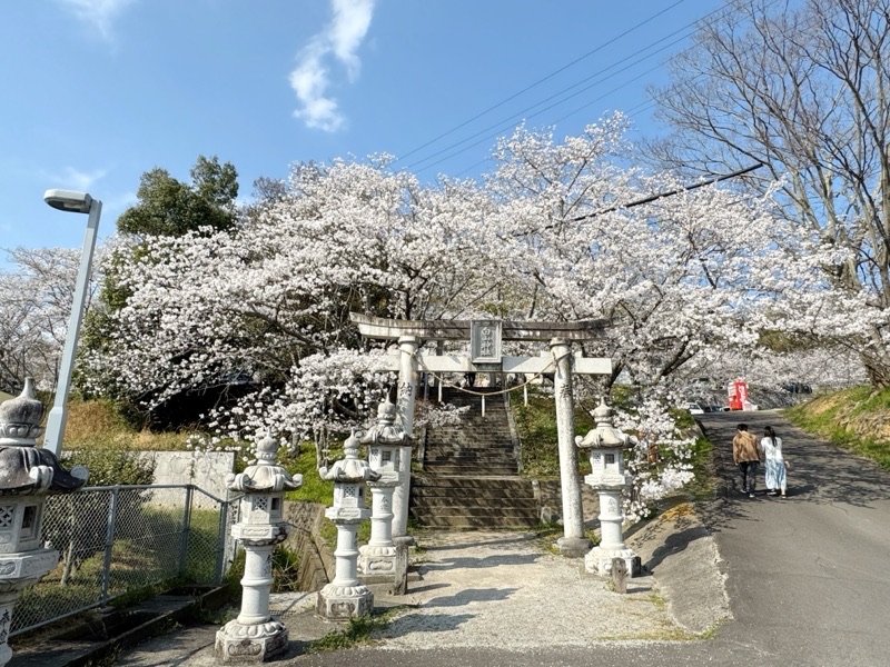 行ってきました！ ｡.:♪*:...