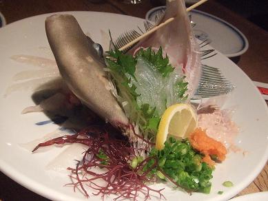 瀬戸内のお魚が出迎えてくれた。