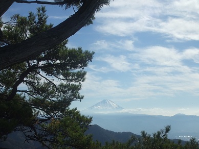 新年あけましておめでとうござい...